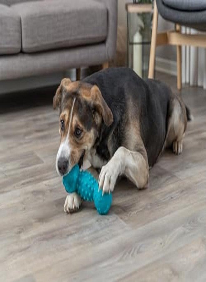 تريكسي دمبل تريكسي دوغ من الفينيل، 25 سم - Image 2